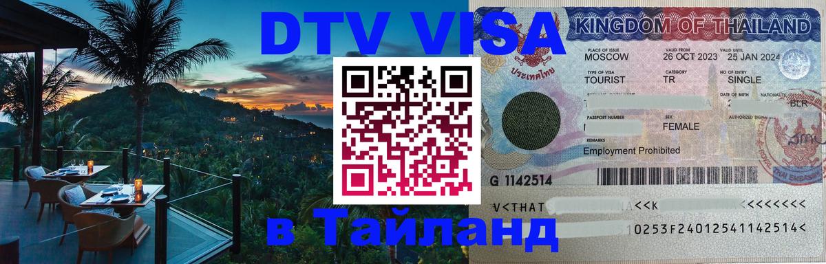 Сколько стоит DTV виза — актуальные цены, оформление даже без документов - Электросталь 